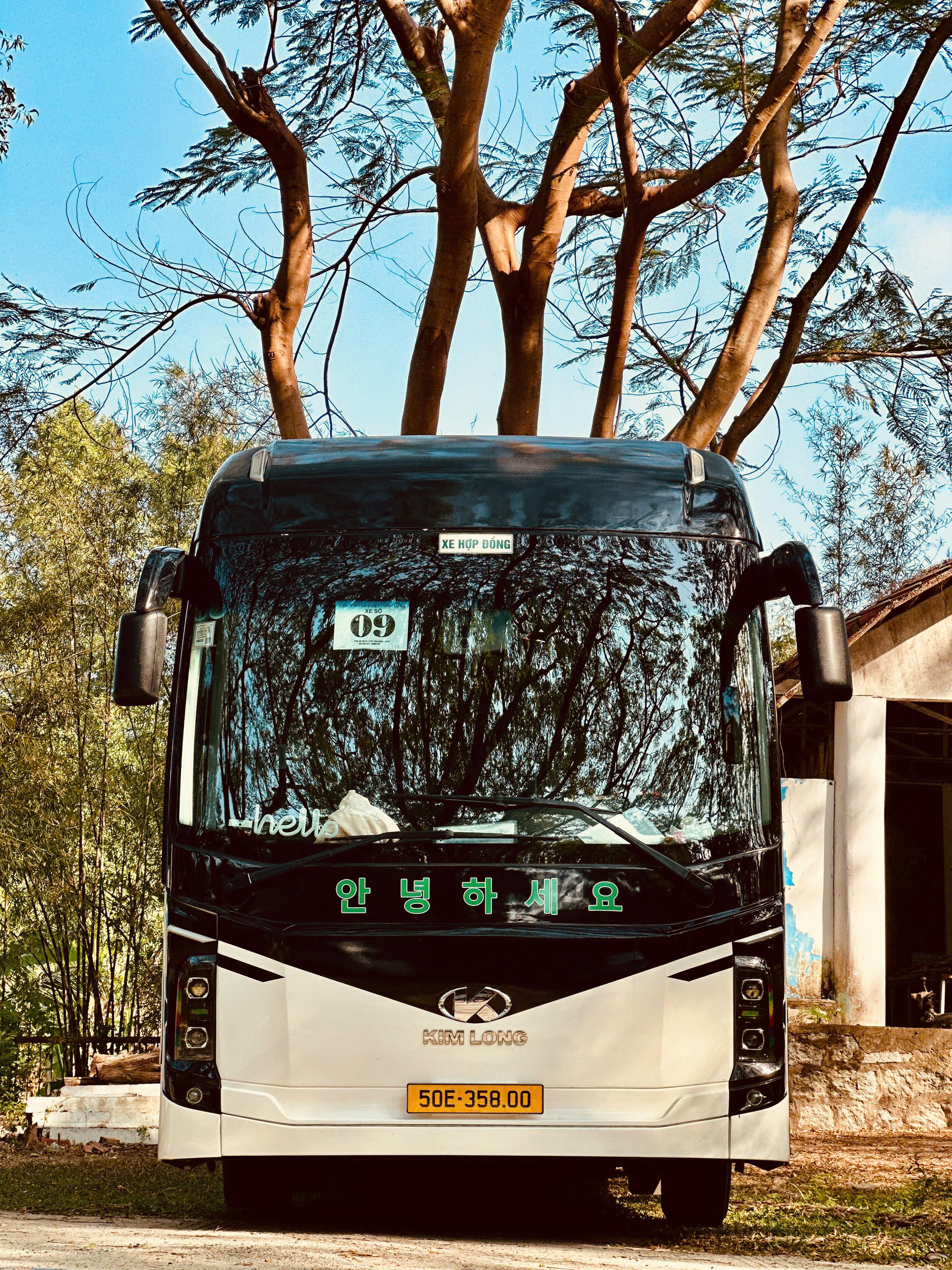 Xe 45 Chỗ KIM LONG thuexemientay.vn